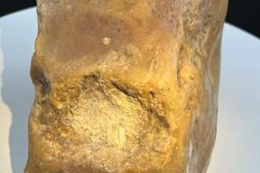 6I纠?璟晔薻p7鉢螺?┣锟黟化?绌钱p耜垾-九游体育平台